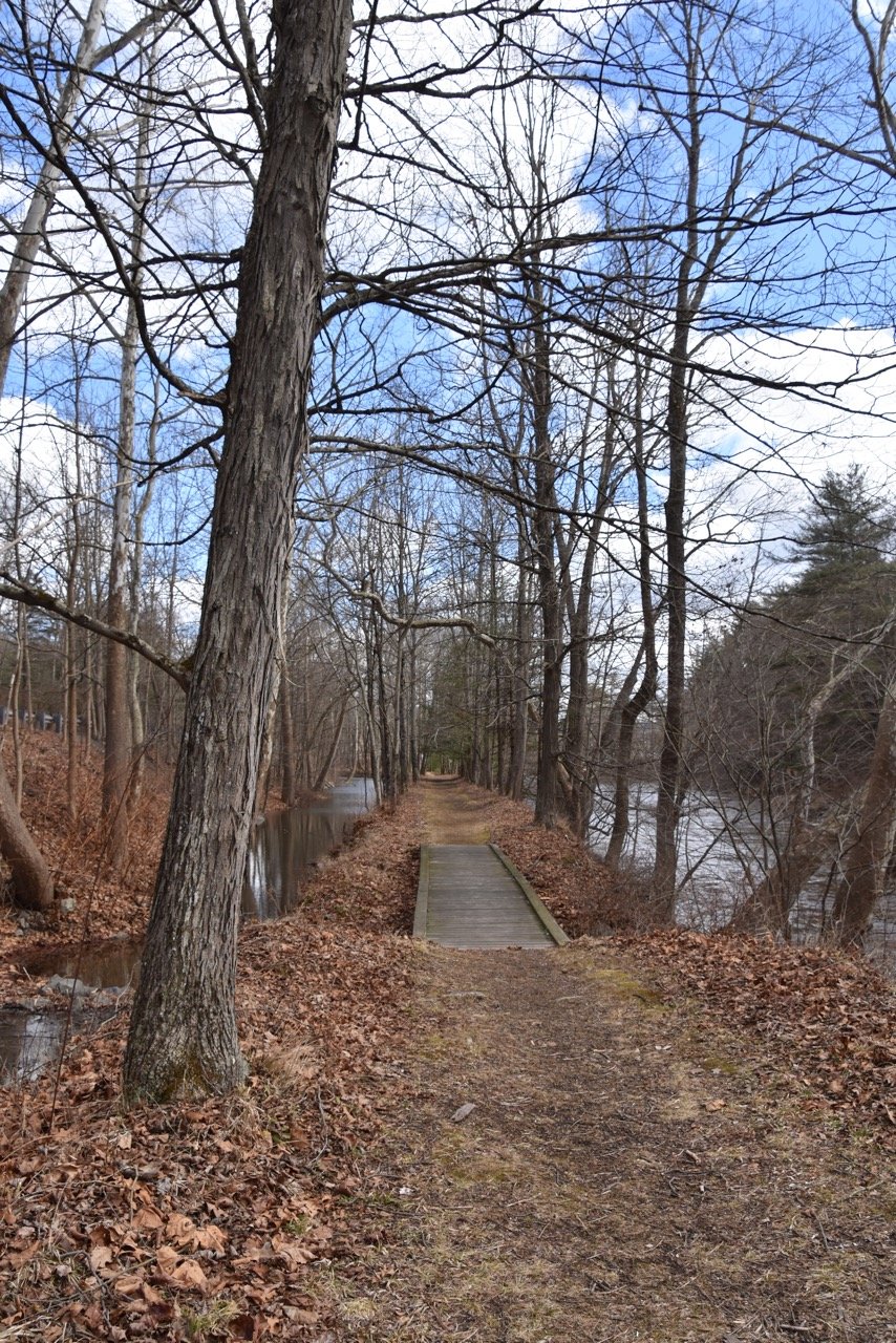 The Hawley Trail connects the D&H Canal Park at Lock 31 to the Riverside Park Trail in Hawley, PA along the Lackawaxen River. Hikers can experience the still waters of the canal, depicted here on the left, while enjoying the exhilarating flow of the Lackawaxen River on the right.